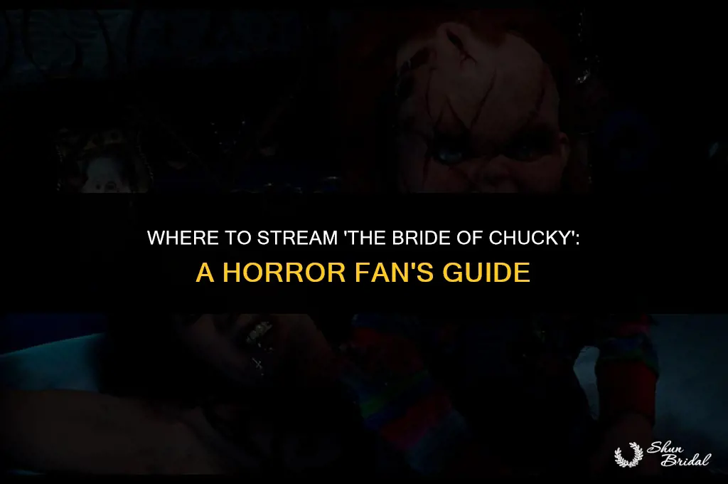 where can i watch the bride of chucky