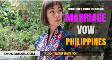 Where to Watch 'The Broken Marriage Vow' in the Philippines