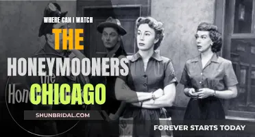 Honeymooners in Chicago: Where to Watch?