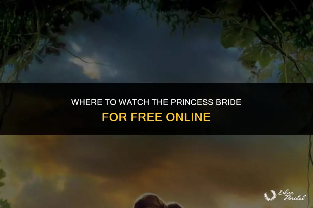 where can i watch the princess bride for free