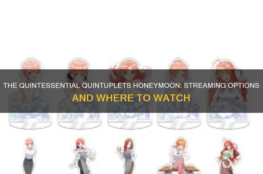 where can i watch the quintessential quintuplets honeymoon