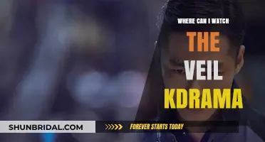 Where to Watch The Veil Kdrama: Streaming Guide for Fans