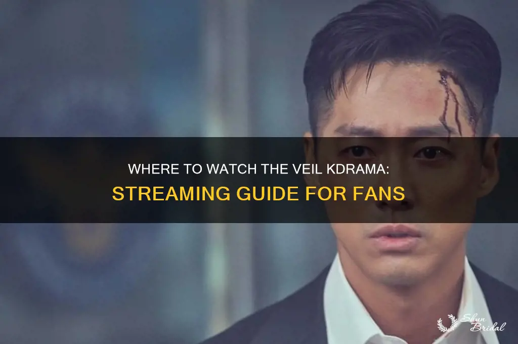 where can i watch the veil kdrama