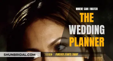 Streaming Options for 'The Wedding Planner