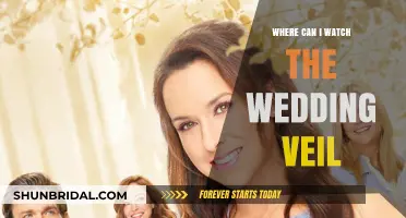 Where to Stream The Wedding Veil: Top Platforms to Watch