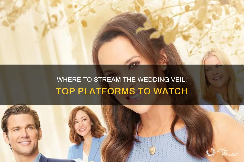 where can i watch the wedding veil