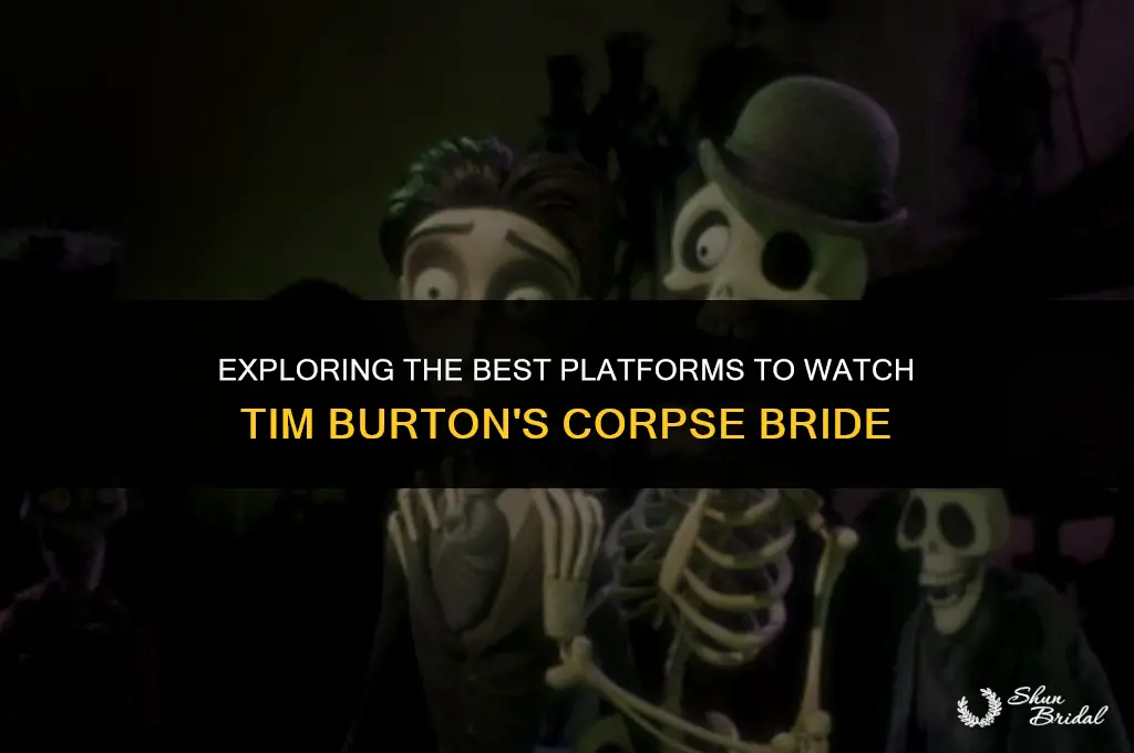 where can i watch tim burton