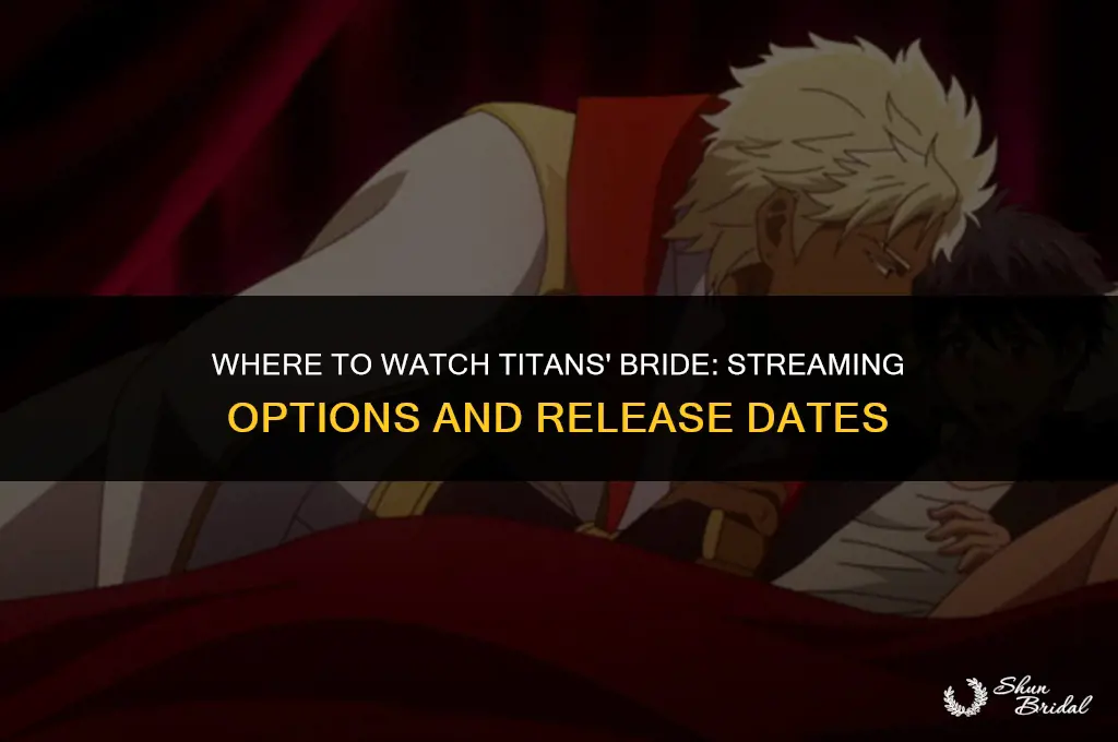 where can i watch titans bride
