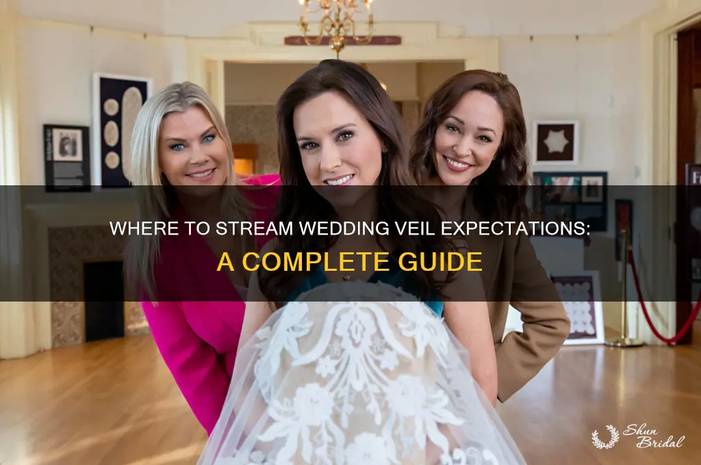where can i watch wedding veil expectations