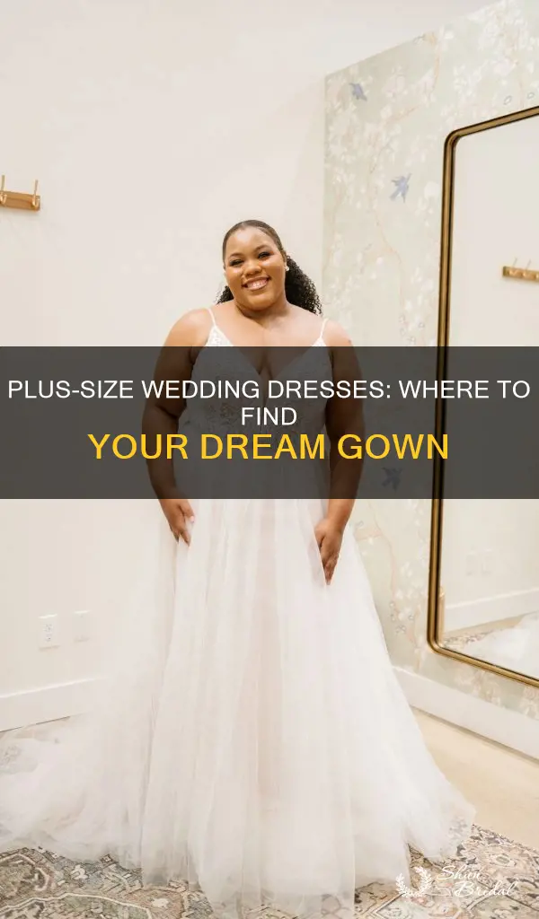 where can you find large size wedding dresses