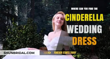 Cinderella Wedding Dresses: Where to Find Your Dream Gown