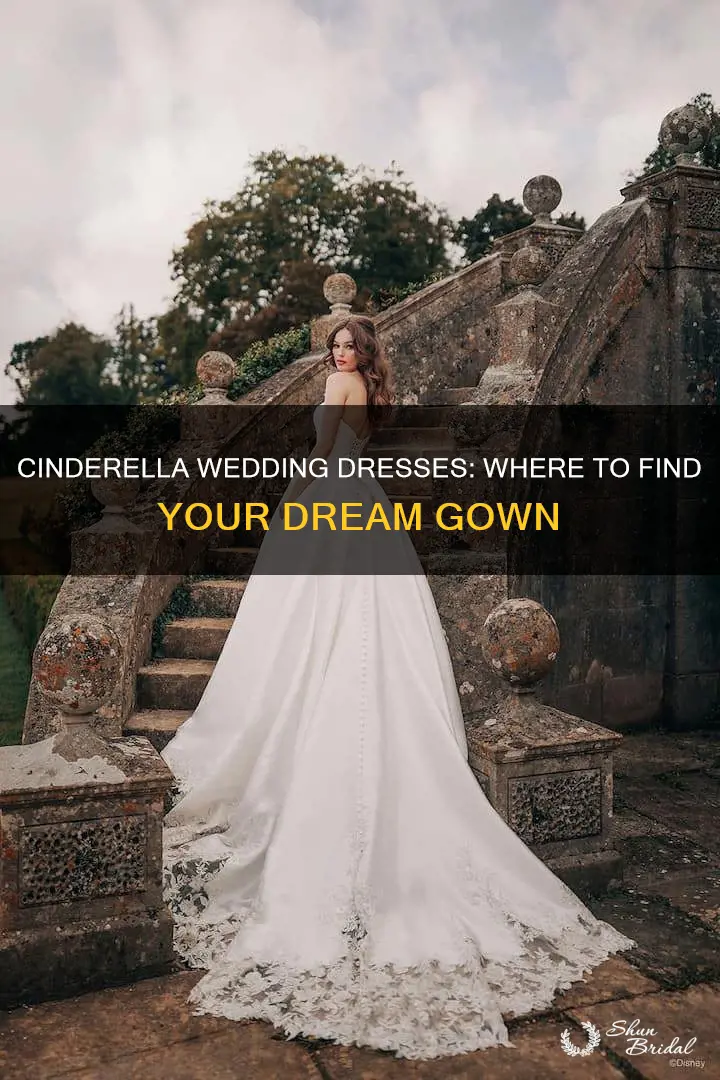 where can you find the cinderella wedding dress