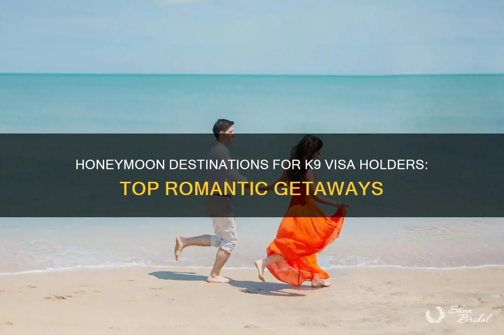 where can you honeymoon with the k9 visa