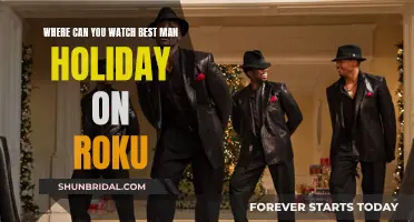 Best Man Holiday: Stream on Roku with Ease