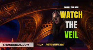 Where to Watch 'The Veil': Streaming Options and Platforms