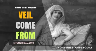 The Ancient Origins and Evolution of the Wedding Veil Tradition
