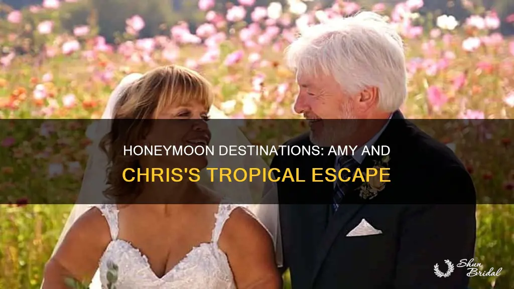 where did amy and chris go on their honeymoon
