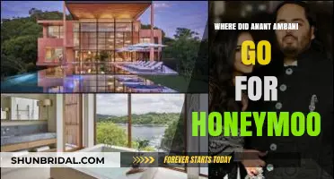 Anant Ambani's Honeymoon Destination: A Luxurious Getaway Revealed