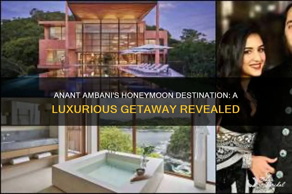where did anant ambani go for honeymoon