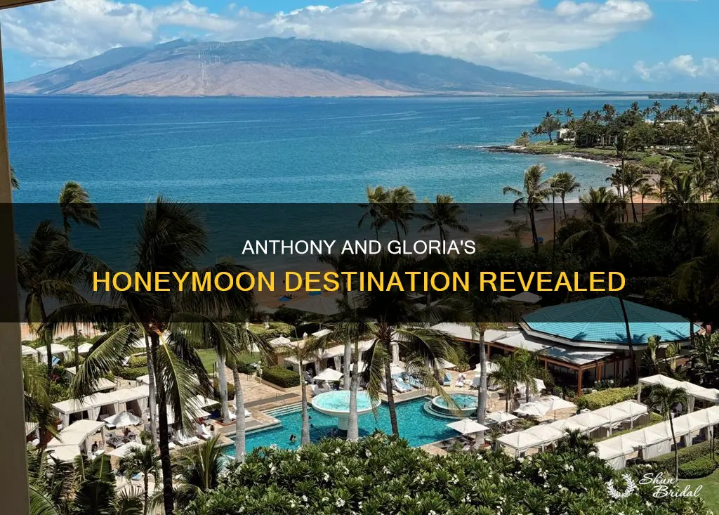 where did anthony and gloria honeymoon