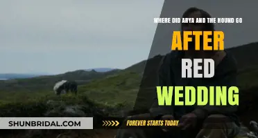 Arya and the Hound's Journey Post-Red Wedding: Unraveling Their Path