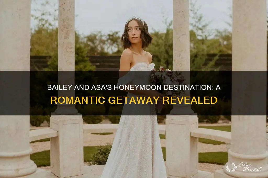 where did bailey and asa go on their honeymoon