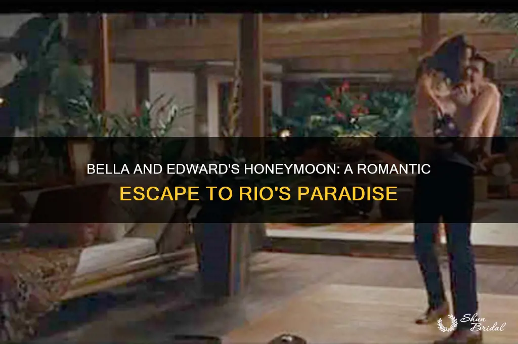 where did bella and edward go for honeymoon