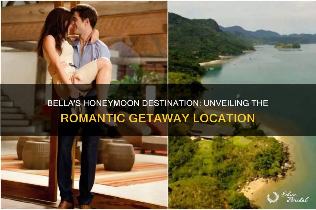 where did bella go for her honeymoon