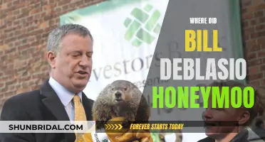 Bill de Blasio's Post-Wedding Getaway: A Journey to the Caribbean