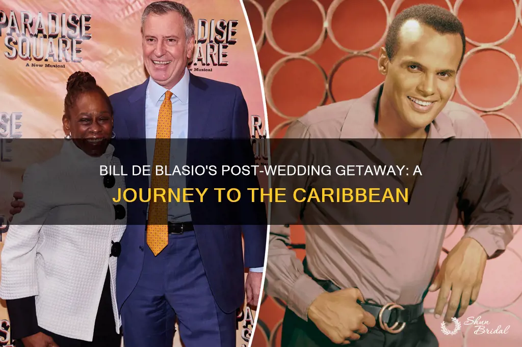 where did bill deblasio honeymoon