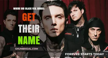 Unveiling the Mystery: Black Veil Brides' Name Origin Explained