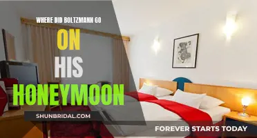 Boltzmann's Honeymoon: A Romantic Getaway to Vienna