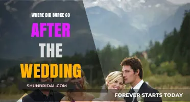 Burke's Post-Wedding Disappearance: Unraveling the Mystery of His Whereabouts