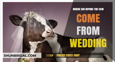 Unraveling the Origins of 'Buying the Cow' in Wedding Traditions