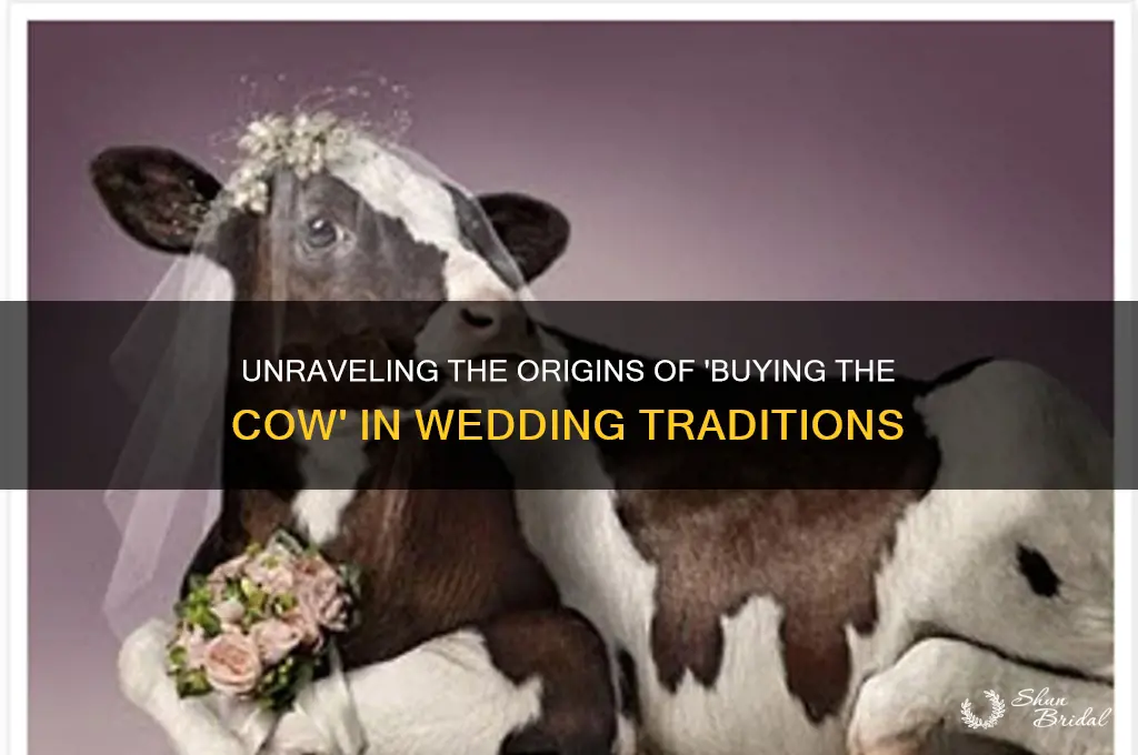 where did buying the cow come from wedding