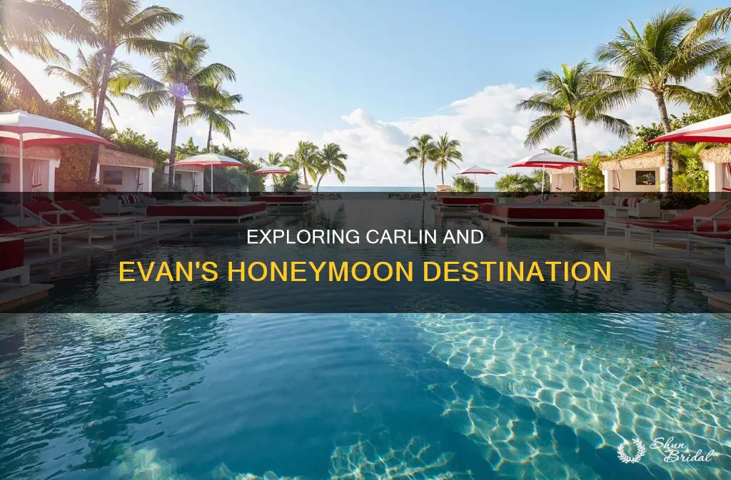 where did carlin and evan go on honeymoon