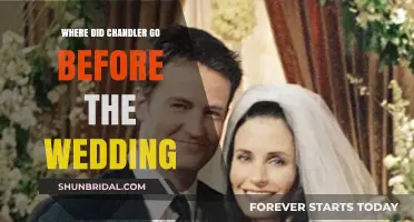 Chandler's Pre-Wedding Disappearance: Unraveling the Mystery Before the Big Day