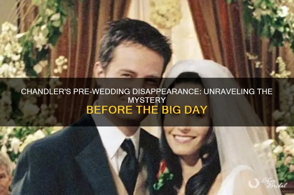 where did chandler go before the wedding