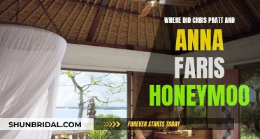 Honeymooning in Paradise: Chris Pratt and Anna Faris' Getaway