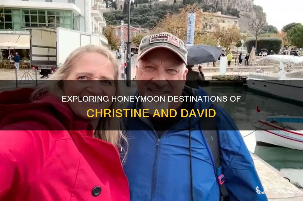 where did christine and david go on their honeymoon