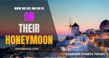 Honeymoon Destinations: Cole and Sav's Tropical Escape