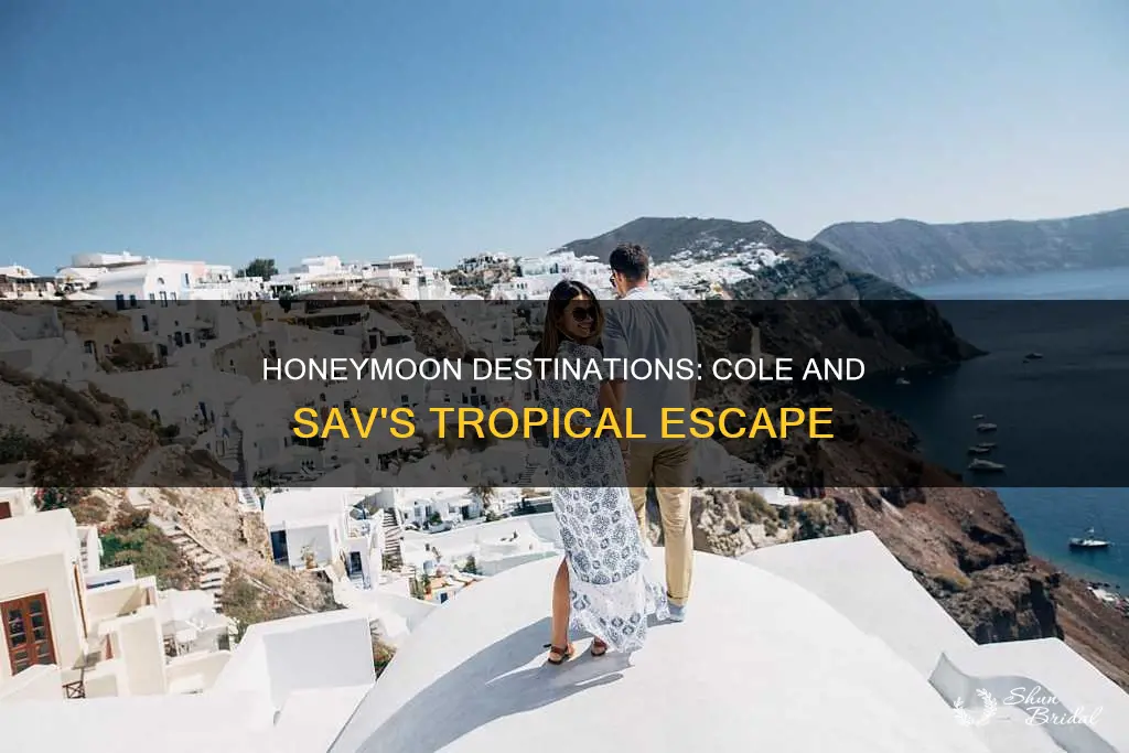 where did cole and sav go on their honeymoon