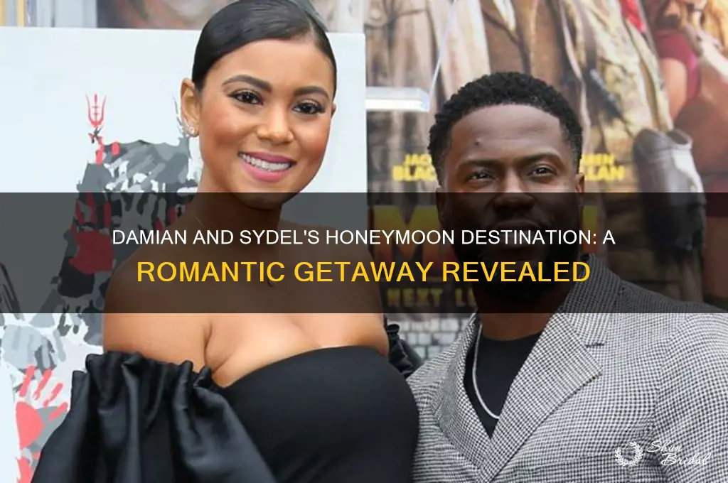 where did damian and sydel honeymoon