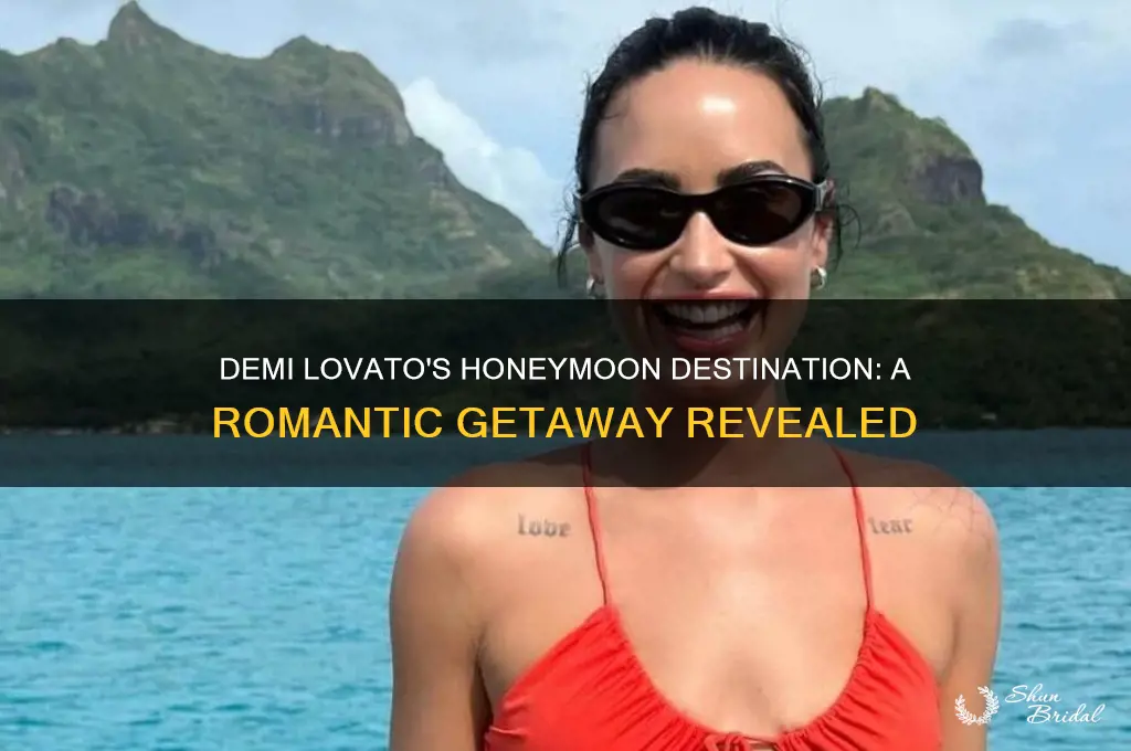 where did demi lovato go for her honeymoon