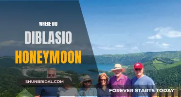 Diblasio's Honeymoon: A Journey to the Unknown