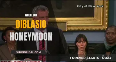 The Romantic Honeymoon of the De Blasios