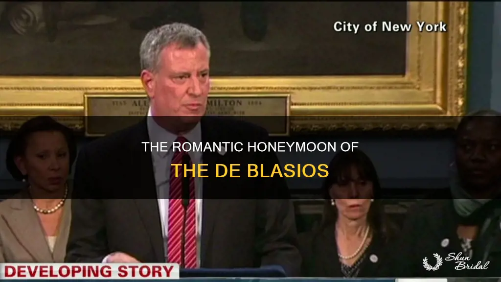where did diblasio honeymoon