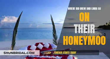 The Honeymoon Trip of Drew and Linda