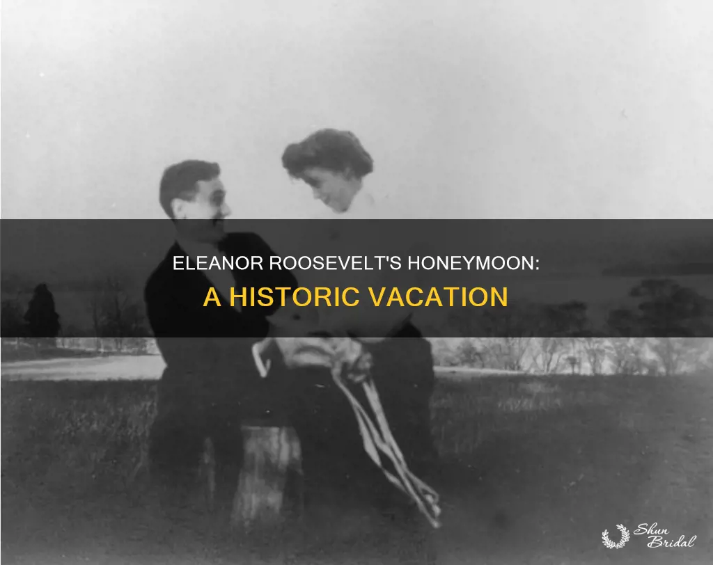 where did eleanor roosevelt honeymoon