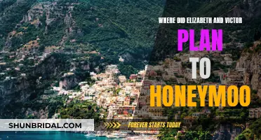 Elizabeth and Victor's Honeymoon Destination Plans